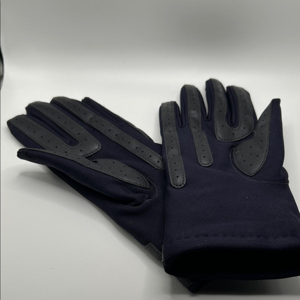 Isotoner women’s Dark Gray Gloves